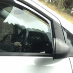 Driver using mobile phone while driving fleet safety