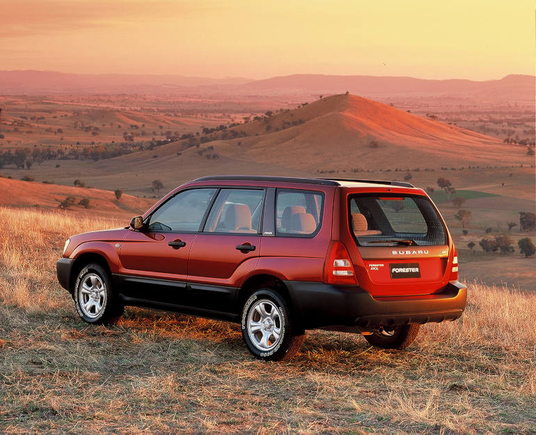 Red Forester in Outback