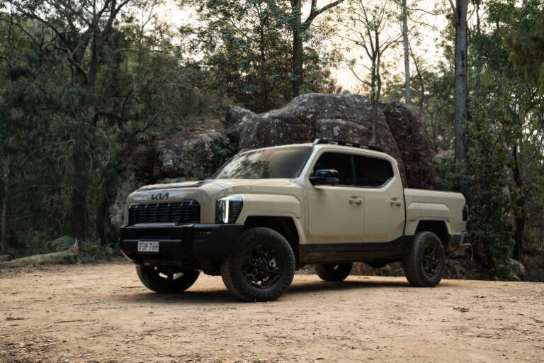 utility dual cab in bush