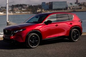 Will It Be Enough Without a EV Option?